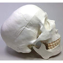 fff8fffcfffefffcfffefe3efe3e03be019e003700808000800000000000e003