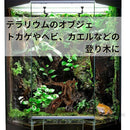 c000ddfcc122ddffffffffffffffc0c0c820f200c400c100d100e021c004c18800c9f5ab0043514e003f221b00f50014