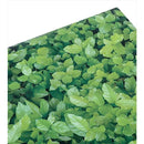 fffffffbff91fe00f08c01a8000420002200000000ac00c3600044c080408000