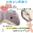 fffff2cbffffe2ff88ff8fff04e30061006d0025003a043c703cd3fce000fef400000000d5ab0000f2f1ecfc15110b00