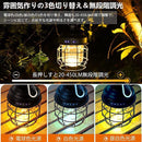 0000000288a100030000000001c200c040003ffece308610c738ff9eeffff5bf