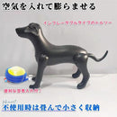 ffff9f3bffffffb7e3ffe1fff8fff80ff801f9efb0078bf7f3efffffbfffc01700eb1209f5ab0909eb00a2deeba41212