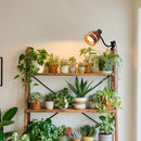 fffefffefffefffeffceffdaebf3ccc3e102e7f2ef12e822c2520ffb03ef00171a181e1e18181a2b1036156b1a102014