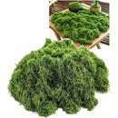 fffffffffe0afe01fe00ff00ff02f807e0c1c000c00080008003e003f08fffff0000000000004a41003d3a3c003c3e3f