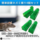 ffff285c0000fffbfff2ffc0fec100e900f701e503c50b891fd3fdf3eea9ffff90908f906b900063959b00661aab0064