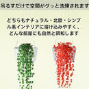 0c790c50fffffffffffff9edfceffffff3fff1c3f1e3f1e3f3e7f3f3fbf7f7ff3232322e303030302e462e182d462d03