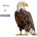 ffffffffff9fcf0fff3ffe1ffe078607fe03fe03ff03ff03ff81ffa1ff89ffff0000000000001c0000000a0b00000013