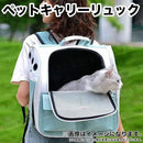 040e1ea7040e800a7c0e1fff1c083c083c1c3c7c3dfc2ff80dfc0fec2fbc17004447003f619712983f92a2e93fa69394