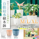 7800790078927ca459c4fdc05c40f83fffffdfbfdfffde12fce3fcccfcc3ffc37a80797b722b325b0000242b2b2b0907