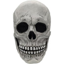 fffffffff81ff00ff00ff00ff00ff00ff00ff00ff00ff80ff81ff81ffc3fffff00000000001b22000024c70000001500