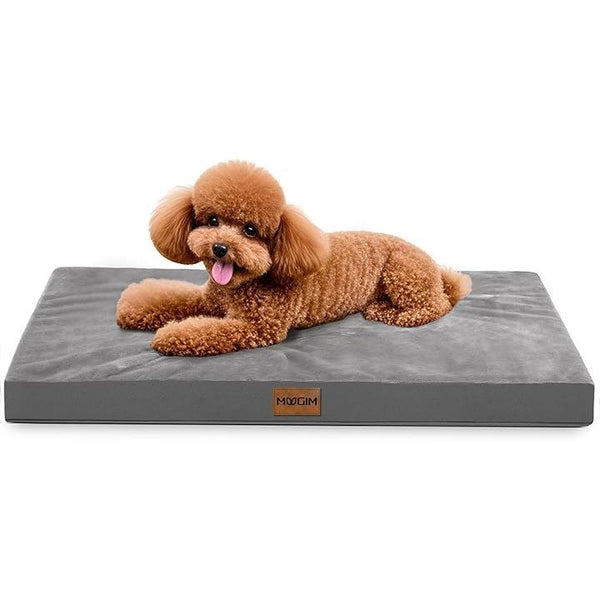 fffffffffffffffffffff8fff07fdc0f8001800080008000ffffffffffffffff00000000000000000010121100000000