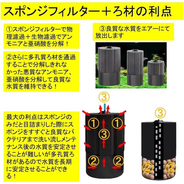 0481ffff83038303ff018303830387a3ffffffff821b8211821182118219ff39