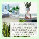 ffffffefffe7c4e7bce7ddefc9f583efff00ff00d74fc7ff87ff87b7859bc44750505050508c47f0502b649a5044003d