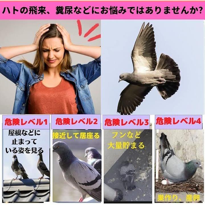 0000cd2af7fffee7e9e700f38ad1c1cbc0dff7fff7ffb8cbfb8ba98acc8c8e881211111110119cfc17089e9aab80ab00