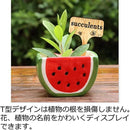 c003c003c041c271c1a1c001c4b1c003c003c80fc00fc00fffffffffffffffff