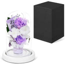 ffffffe3ff80ff80ff80ef80c980db80fb80eb80f1e3effffbffffffffffdfff00000000000000000000000000bb0000