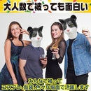 fffbb261fbfffffbcfc3f8afd8afdfc0db80c080c0a58817a89028120210558325600025000000ab000b6b96000b6bb2