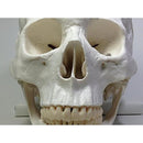 ff9ff1c5e1c7e1c7f24ffe3fe603e601ee05c701c763c7e3e7e3c000c000c803