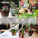 202b24f300fa20aa4e580ec88837eff7ffbfdfaf9b0905080762f084f9b0df5b2b3225252b141a0c120024fb0000a41f