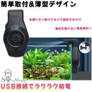 ffff862fc7ffc7ffc7ffc7ff87ff8000c141c002f800f880f820f800ffffe7f70000000000ab0000009b929500432f3f