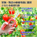 ffffd6fbcf7fffffbcecc5d6e550b33982838904b100e0b186b28d40881c8021