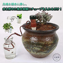 ffffa7ffa060ffeffb03ef07de03cc40fe01f801dc01ec01be01fe03ff05dfff