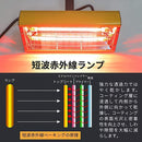 ff7fff3fc7f3bfff7ffbfffffffff88fffff0000402140204028402040281fc0