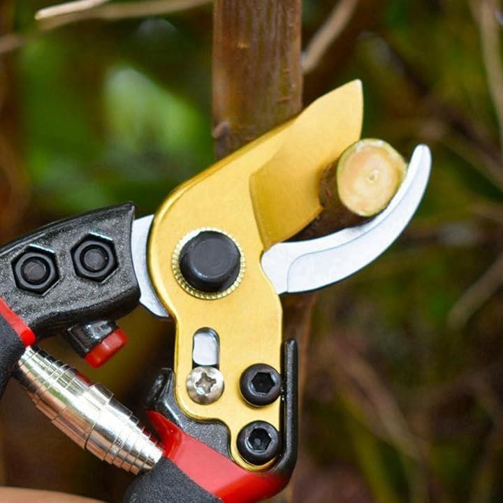 1210000000200d100d7000f803fc0fcc3df8ace0c7808380638033801b0003001536131a17341a2788a021a0ab18a414