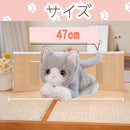 ffffffffffff87f00f7c0ffc033c004000018100034003882cbd79fffdff003b0505050500010a011716001511140414