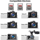 fffffc1ffffffb6ffb6ffbf1f1f1f0e1fffff0e1f1e1e0e1fffbfff4f1e3f1e3