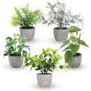 ffffffafeaaff183f023f1c1f1c5d1c1c3e8c753c1c1c011fe3bfe3ffe3ffe3f0000000000443f4900490000000043ab