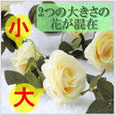 00007a7b313418233cfb0fea0f845b8e7dee73fe13df01f163b863a867f87ff8b3333300ab2b554f00262a31002b2499