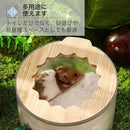 ffe0ffe0ffe0be60ffe000f007f80e7c180e1e1e1e1e1b7e1bfe1ffc17f40ddc173635322e3030303a1b29183a19121a