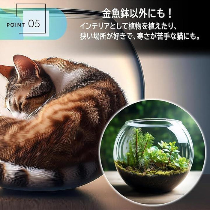 金魚鉢 アクリル水槽 透明 メダカ 苔 アクアリウム 水草 飼育