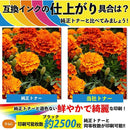 e1efa93ffeffe5ed81818181010101018180818181c18181ffffffffffffffff