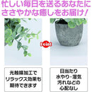 ffffd2e7fcc2ffffcf81c7c1c1c1cfc3d703ffffffffffffffe2ffcaffc6fffe0000000000920053007f008000000000