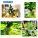 ffffe3e18fe19fe1a0e1a07991698671ffffffc1804080c0847088c580e2ffc000000000003c22370000000095323141