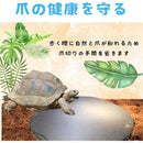 ffffd56fffffdfff8fff846ba2f79fff2fc083f0a0fdea7f8078807c80608040000000001732171837181c491819ab19