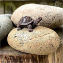 ffff800087ff8ffffffdfe48c000c0109f3c9ffcbf7c9f3a87d881c08802c00500000000001d1a1a001b171e00191a18