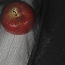 0b80480084002e009500f8003800f400fcc0ff80be00fb80f7806f00fc00f94000002b00000703002b0309002b2b1c00