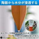 f81e2dc90000f81ff00ff80ff80ffc1ffc3ffc29fc2cfc20fc00fe38fe79ffd995949695bc321390bcb31300deb3120d