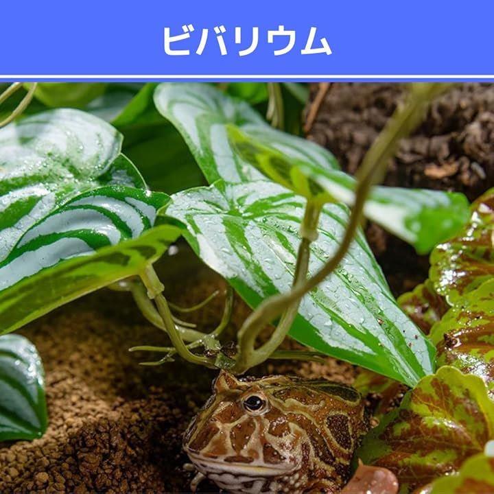 ffffffffffff4300f380f16078d07fdda1518cf8003980504006200020010000a3a3a3a32f4162108137412e44101c29