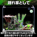 e08ec07a188000000000000600903da023a012c01b8020fc2c6e2f9e18da3200