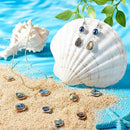 0bd0d3a93e5cf7fcb5d75fddc9e699fffdf5f9a0be80f1e06f1d49c22517bccc898b8a3b8b1e00a1248a244e131b1a1a