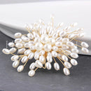 ffffffffffffffffffff0fff17ff17f83ffd4c8d155c110c0800060800000000bdb2b2b0ebabababa4186413ab1a0fb1