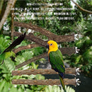 e7f4a0c441c04fe0d4e2c4872806c0fe966036685d107a007b846b049fecc8e8