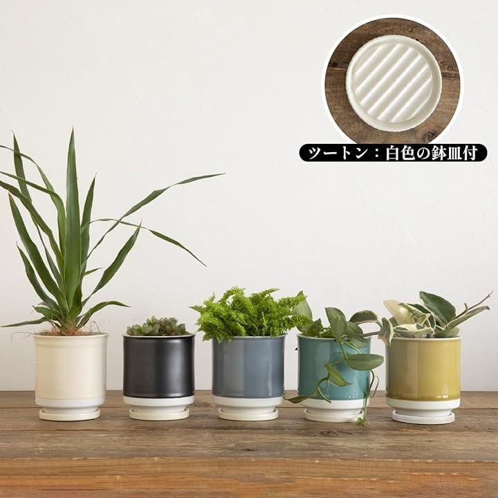 fffffff3ffefffedffe9ffc0efffdfff85ff9fffce1cf009f001349200000000171b24241b1a222413361c1c150e9430