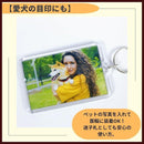 0000201f7fff7fff7fff7fff7e0f600f630f628f600f703f77ff7f807f847f81010101010192899c0186139301369393