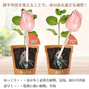 fffffffff3e9e587ef9fe3bff5c7bcff04030593ed87e187e187e187bf8fff7f2b2424121f051f0636131f13060e131a