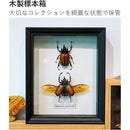 ffffebffefcffffff007f007f007f777f777f7f7f773f415c771c7f1c001c0010000000000929c80006b0f8e006b8a8b